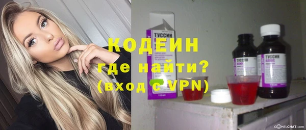 прущие крисы Бородино