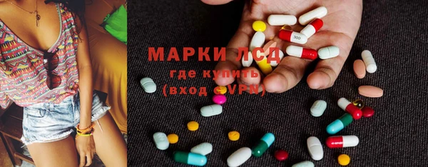 прущие крисы Бородино