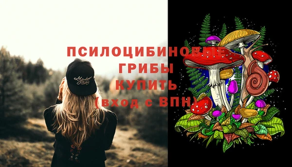 прущие крисы Бородино