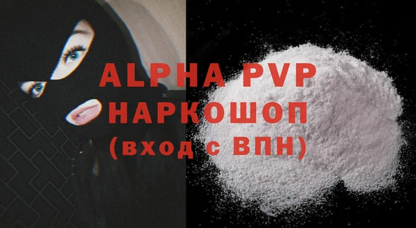 прущие крисы Бородино