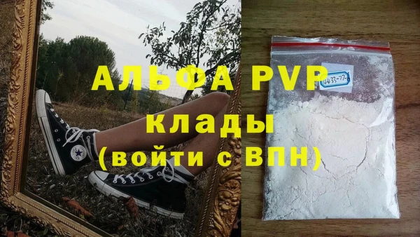 прущие крисы Бородино