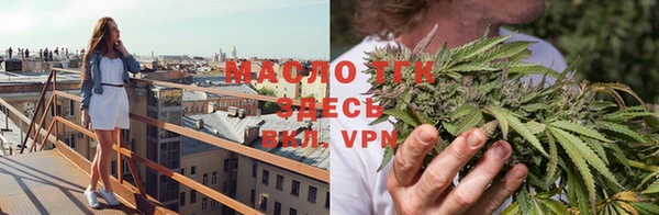 прущие крисы Бородино