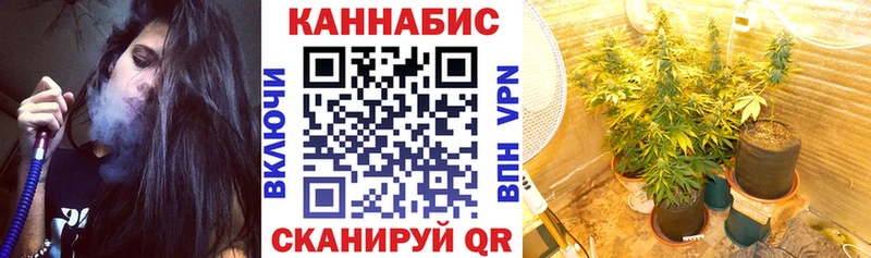 Канабис OG Kush  Купить закладки  Приморско-Ахтарск 